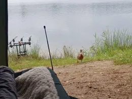 Großer Heidesee (Bad Laer)-2