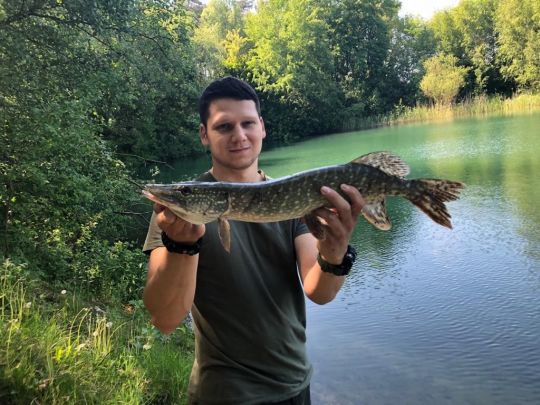 Großer Heidesee (Bad Laer)-3