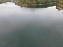 Großer Heidesee (Bad Laer)-4