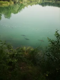 Baggersee Krauchenwies-1