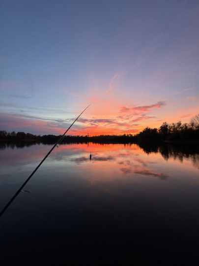 Südfeldsee 1 (Rinteln)