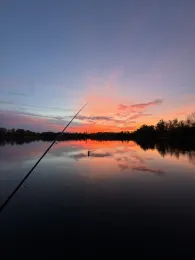 Südfeldsee 1 (Rinteln)