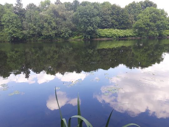 Ruhr (Essen-Werden)-2