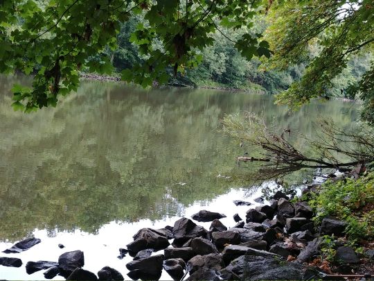 Ruhr (Essen-Werden)-3