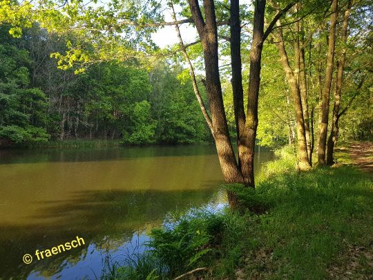 Brausebach-Stau 1-3-1