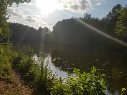 Brausebach-Stau 1-3-3