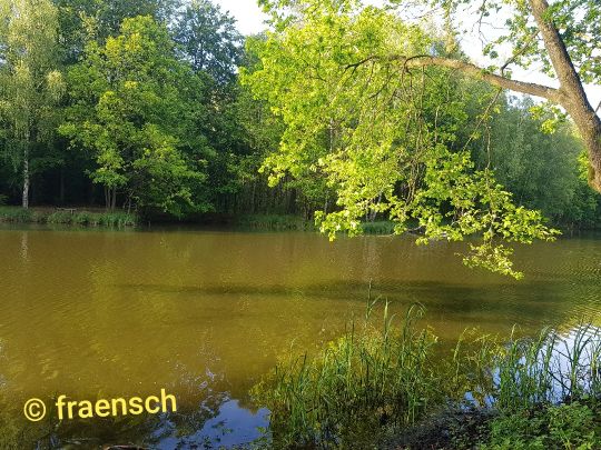 Brausebach-Stau 1-3-4