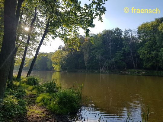 Brausebach-Stau 1-3-2