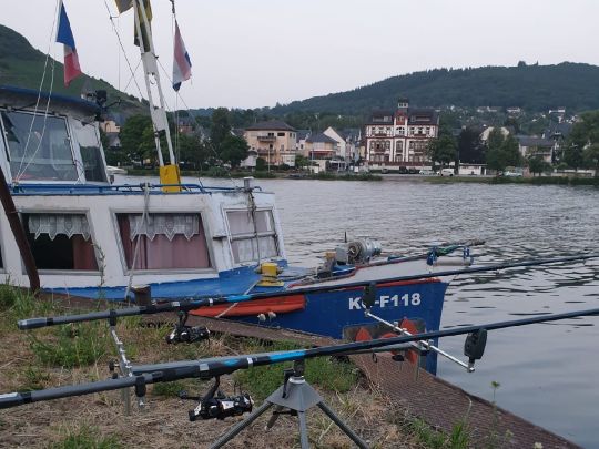 Mosel (Bullay-St. Aldegund)-1