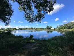 Malzer Kanal (Liebenwalde)-3