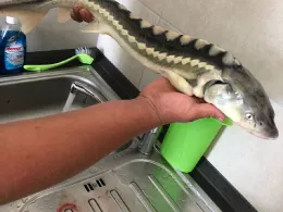 Angelteiche Bargfeld-Stegen-1