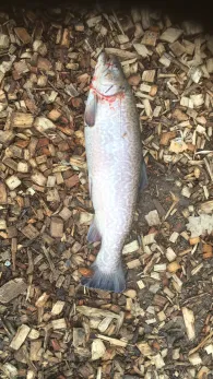 Angelteiche Bargfeld-Stegen-2