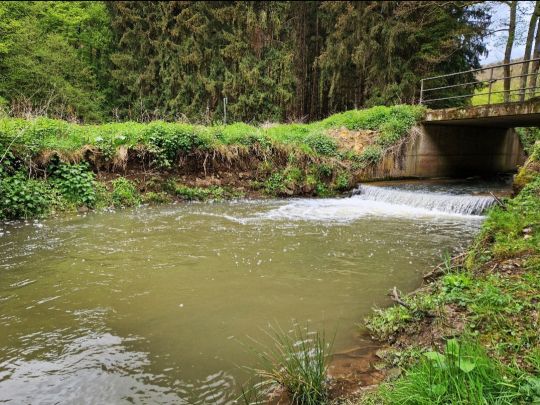 Vischelbach (Kreuzberg)-1