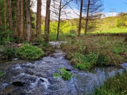 Vischelbach (Kreuzberg)