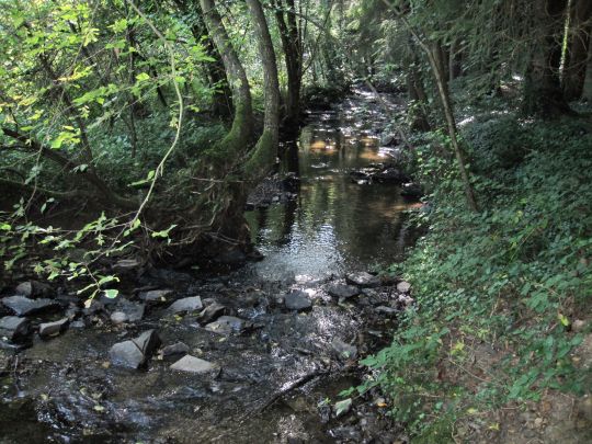 Vischelbach (Kreuzberg)-2