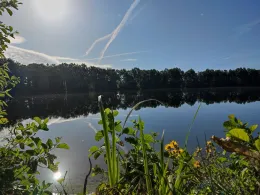 Setteler See (Lengerich)