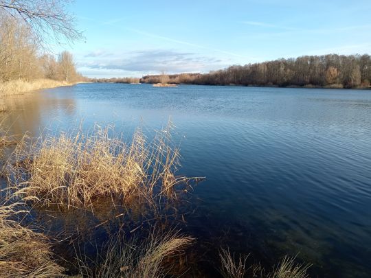 Untere Aue (Halle)-2