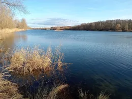 Untere Aue (Halle)-2