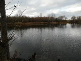 Untere Aue (Halle)-3