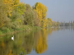 Untere Aue (Halle)-4