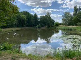 Sportzentrum-Teich Calau