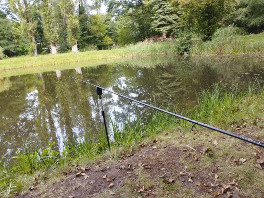 Sportzentrum-Teich Calau-4