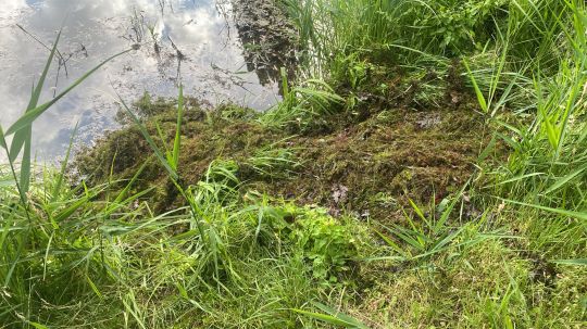 Sportzentrum-Teich Calau-3