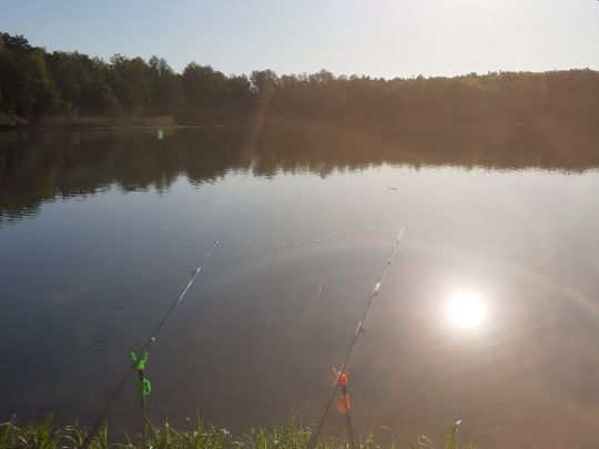 Kiesgrube Velpke 2-2