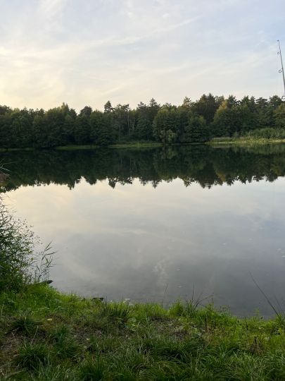 Kiesgrube Velpke 2-4