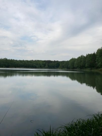 Kiesgrube Velpke 2-3