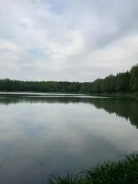 Kiesgrube Velpke 2-3