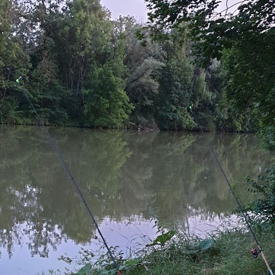Donau (Günzburg)-4