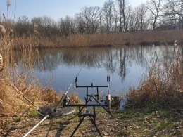 Teich Heinrichsfelde-1