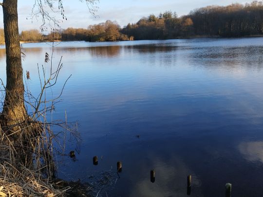 Mühlenteich (Bollingstedt)-1