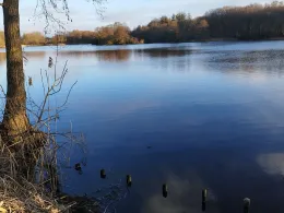 Mühlenteich (Bollingstedt)-1