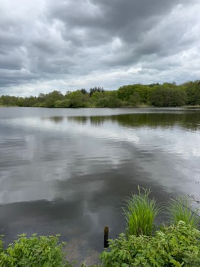 Mühlenteich (Bollingstedt)-2