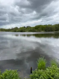 Mühlenteich (Bollingstedt)-2