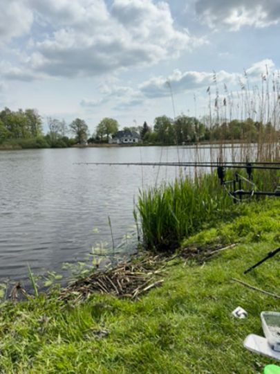 Mühlenteich (Bollingstedt)-3