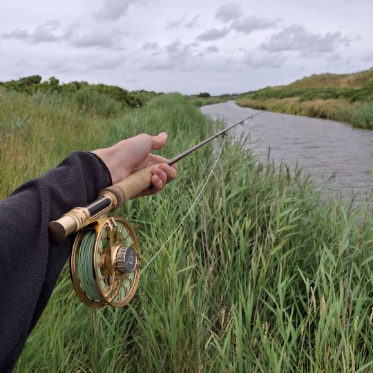 Henne Møller Å-1