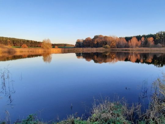 Trebbiner Teich