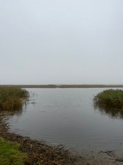 Nymindegab Ørredsø-3