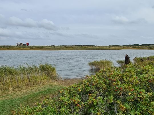 Nymindegab Ørredsø-1