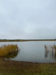 Nymindegab Ørredsø-4