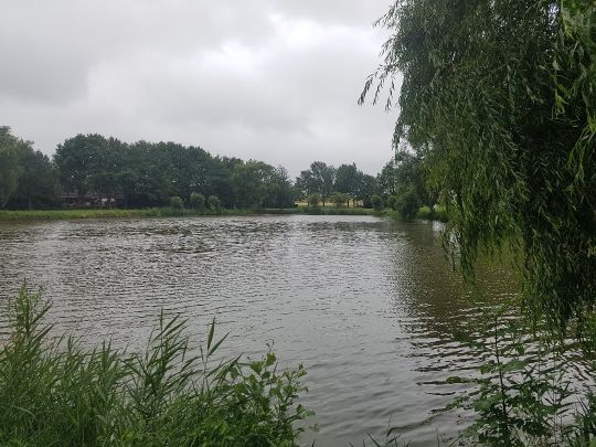 Butendiekteich (Glückstadt)-1
