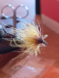 Mühlengraben (Rimbeck)