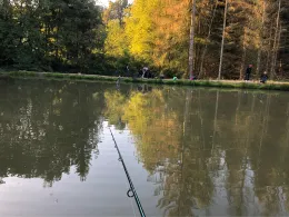 Teichanlage Sotzweiler 