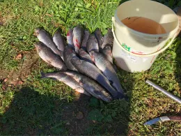 Teichanlage Sotzweiler -2