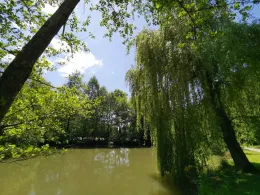 Natursee Henkersbrunnen