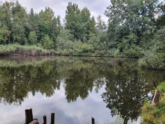 Mauersteinlöcher Kodersdorf-3