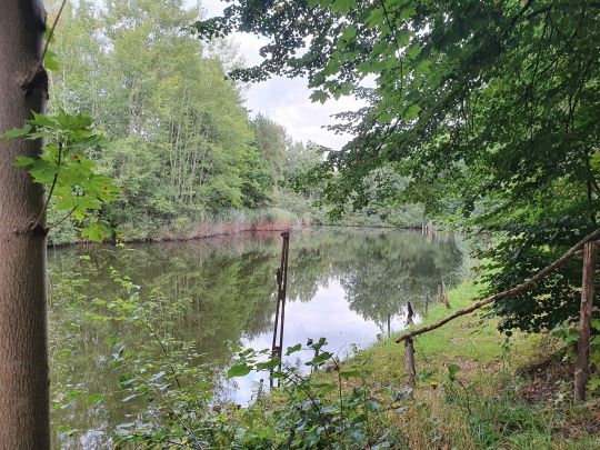 Mauersteinlöcher Kodersdorf-1